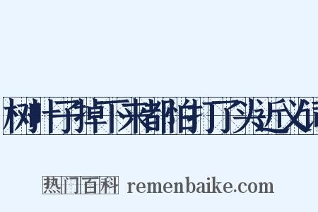 树叶子掉下来都怕打了头近义词是什么意思的图片